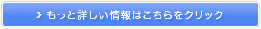 ͔ϐs[[VIK̔TCg